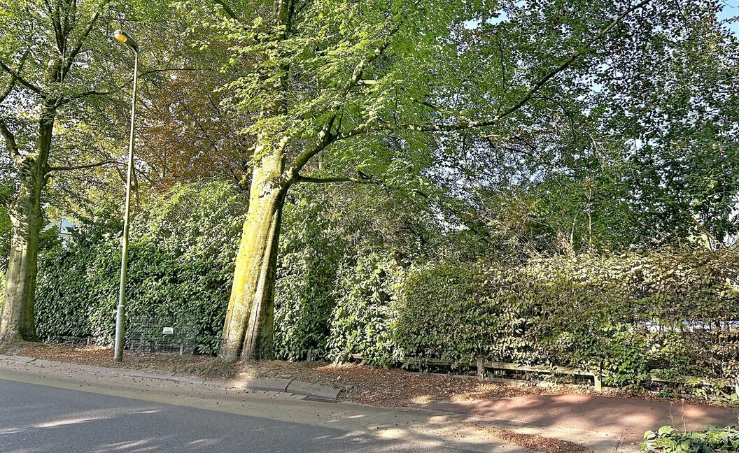 Bouwgrond te koop in Aartselaar