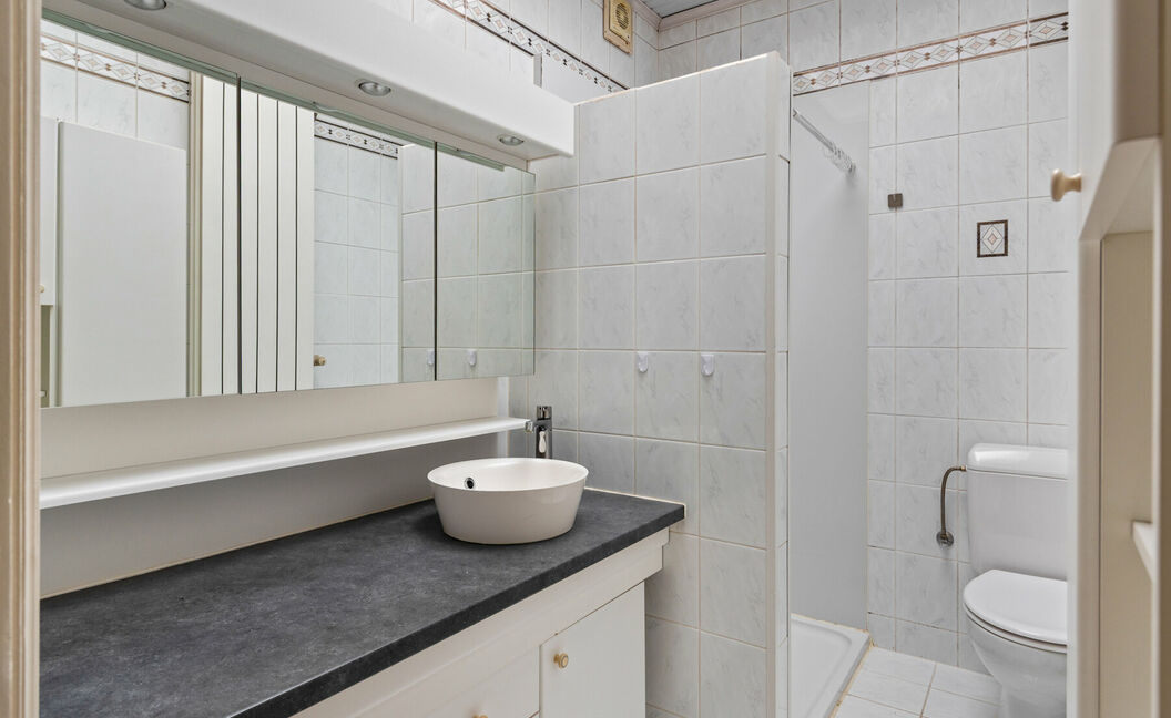 Gebouw voor gemengd gebruik te koop in Reet