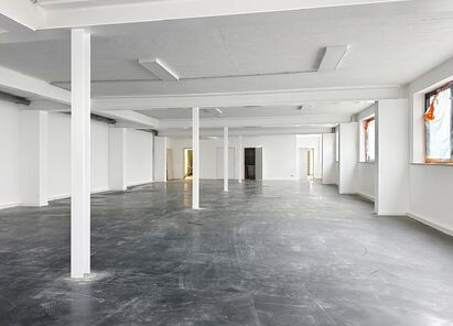 Industrieel gebouw te huur in Schelle